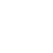 最新情報